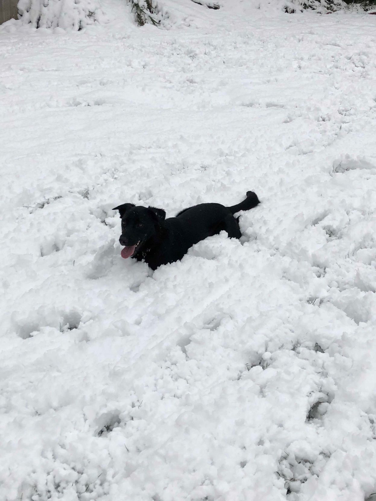 Snow, 10/14